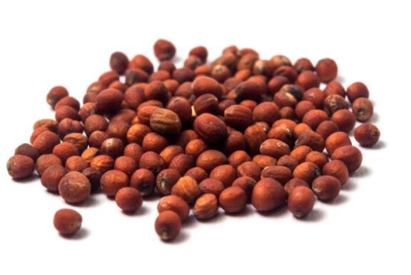 info-576-385