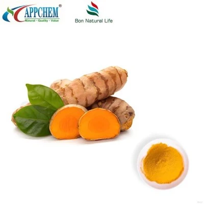 करक्यूमिन पाउडर HPLC95%; Curcuminoids; हल्दी का अर्क