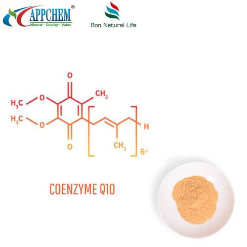 Coenzyme q10 पाउडर