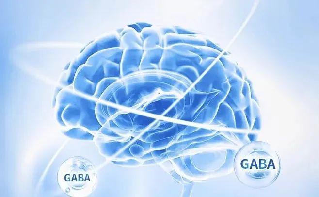 GABA1