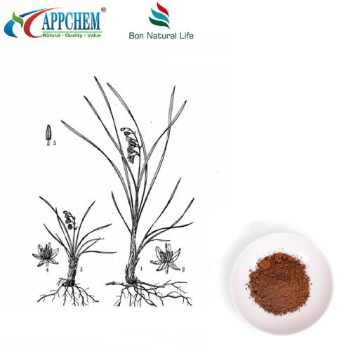 लिलीटर्फ रूट एक्सट्रैक्ट