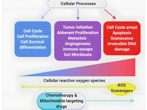 ROS-496-372 ROS-496-372